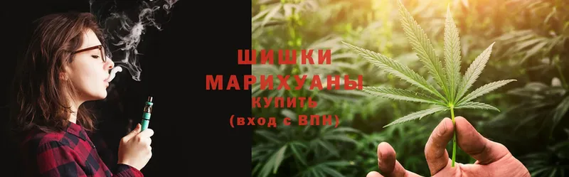 Бошки Шишки SATIVA & INDICA  Грязовец 